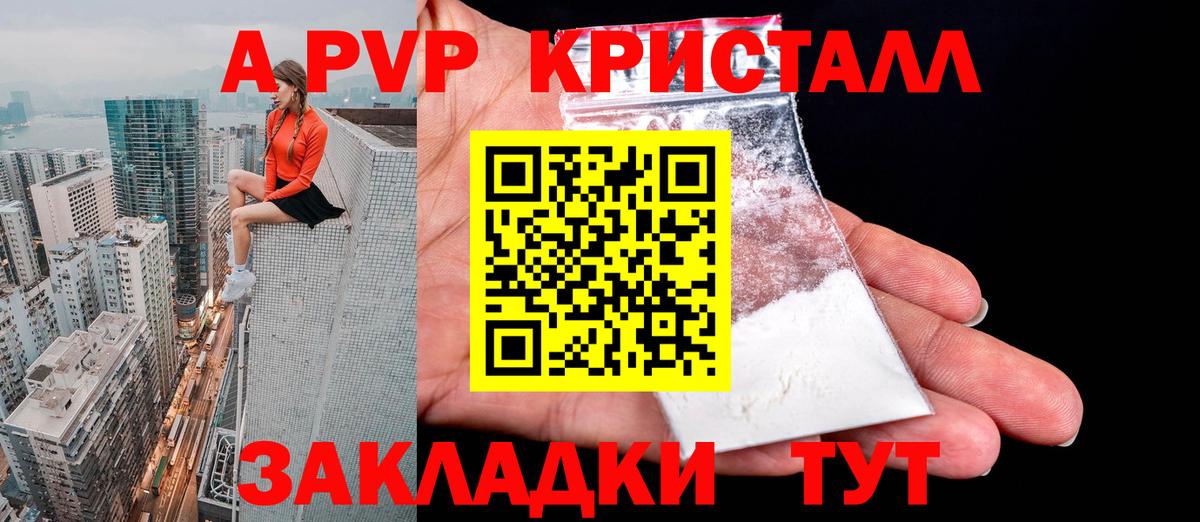 Alfa_PVP СК Тосно