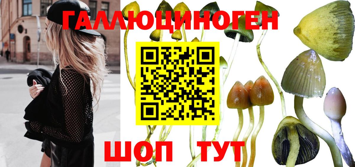 наркошоп  Галлюциногенные грибы Psilocybine cubensis  Вход с VPN  Тосно 