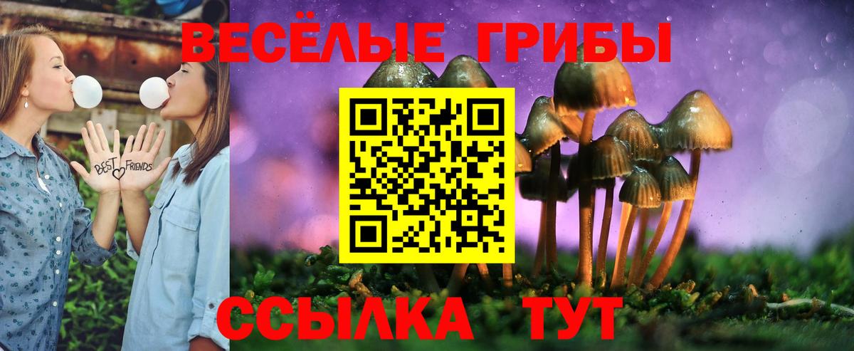 Кокаин  Метадон  Вход с VPN  МЕФ   MDMA  Тосно  ГАШ  Каннабис 